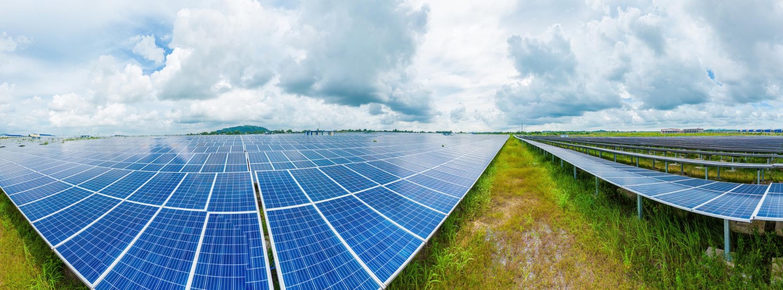 Solar panel cleaning